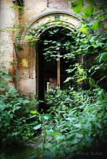 15-wejscie-do-ruin-palacu-7552_150x0