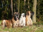 17-tosia-budrys-i-amberjpg-3585_150x0