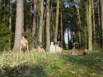 19-wszyscy-razemjpg-3587_150x0