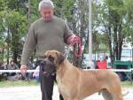 8-diesel-bisdog-bohemia-fot-jaromir-kvacala-3981_150x0