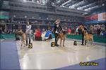 8anbariamarantwstawce1200-1687_150x0