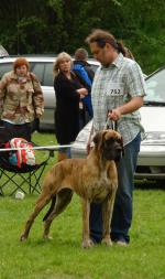 1-fot-batrek-hajbosjpg-2163_150x0