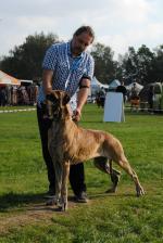 1-nasza-gwiazda-na-ringu-6992_150x0