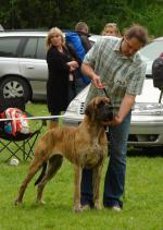 2-fot-bartek-hajbosjpg-2164_150x0