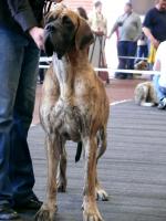 2azurajpg1557-1585_150x0