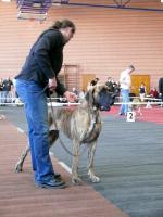 3azurajpg1558-1586_150x0