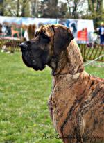 4-fot-marta-szymanska-7155_150x0