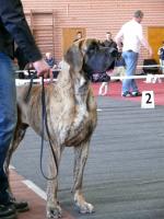 4azurajpg1559-1587_150x0