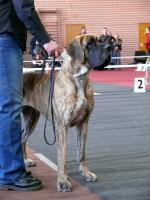 5azurajpg1560-1588_150x0