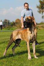 7-trenujemy-przed-ringiem-6998_150x0