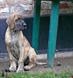 P1470161cropjpg-5237_150x0