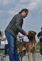 P1550433cropjpg-5546_150x0