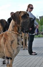 P1550445cropjpg-5548_150x0