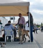 P1550456cropjpg-5547_150x0