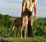 P1560199cropjpg-5879_150x0