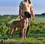 P1560208cropjpg-5880_150x0